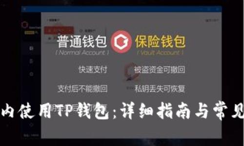 如何在国内使用TP钱包：详细指南与常见问题解析