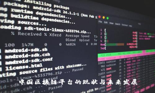 中国区块链平台的现状与未来发展