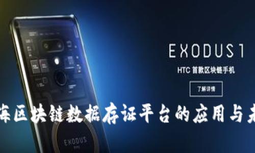 探索上海区块链数据存证平台的应用与未来发展