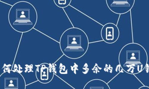 : 如何处理TP钱包中多余的几万U错误？