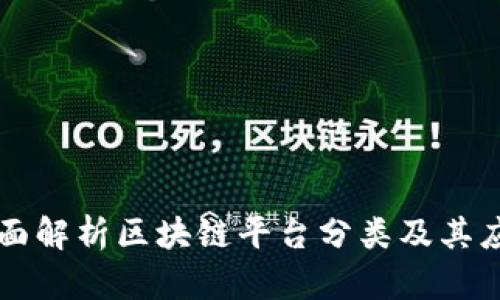 全面解析区块链平台分类及其应用