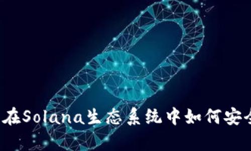  全方位解析T P钱包：在Solana生态系统中如何安全存储和管理数字资产