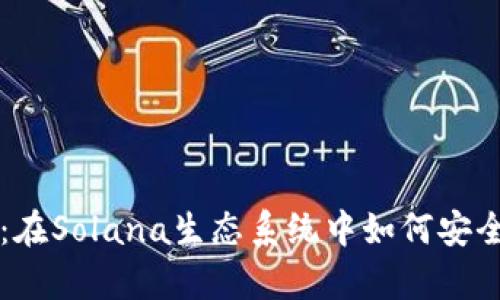  全方位解析T P钱包：在Solana生态系统中如何安全存储和管理数字资产