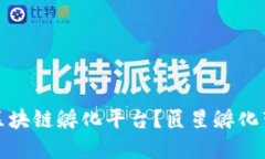 如何选择合适的区块链孵