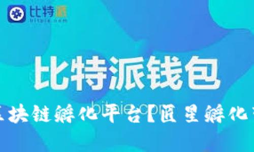 如何选择合适的区块链孵化平台？匠星孵化带你了解最新趋势