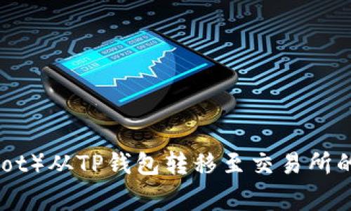 : 如何将波卡（Polkadot）从TP钱包转移至交易所的详细步骤与注意事项