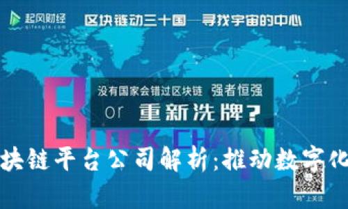 安徽政务区块链平台公司解析：推动数字化政务新模式