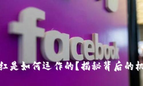 TP钱包里的分红是如何运作的？揭秘背后的机制与投资价值