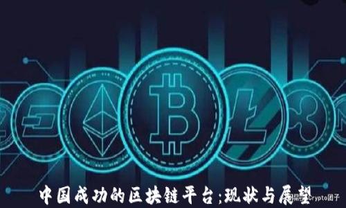 中国成功的区块链平台:现状与展望