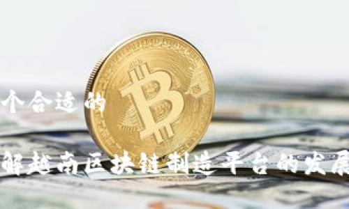 思考一个合适的  

深入了解越南区块链制造平台的发展与潜力