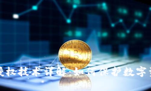 TP钱包授权技术详解：如何保护数字资产安全