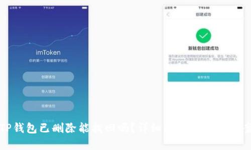 TP钱包已删除能找回吗？详细解析及解决方案