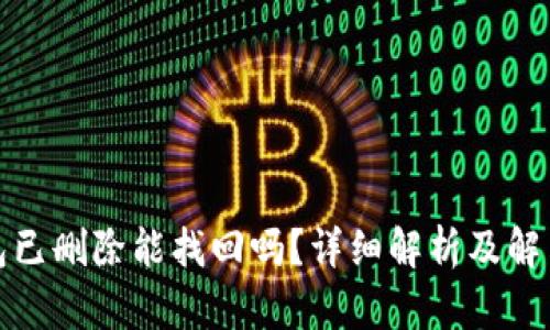 TP钱包已删除能找回吗？详细解析及解决方案