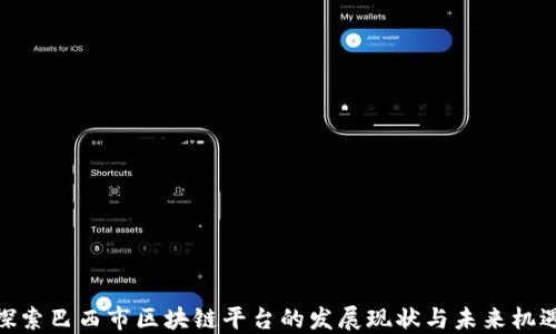 
探索巴西市区块链平台的发展现状与未来机遇