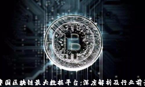 
中国区块链最大数据平台：深度解析及行业前景