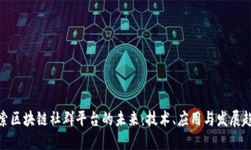 探索区块链社群平台的未来：技术、应用与发展趋势