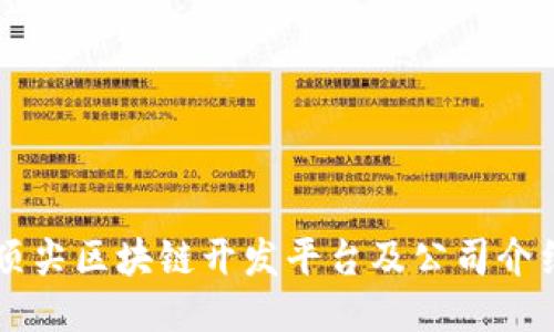 顶尖区块链开发平台及公司介绍