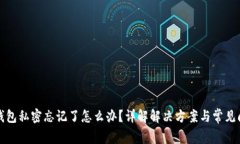 TP钱包私密忘记了怎么办？