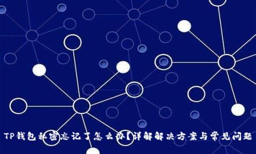TP钱包私密忘记了怎么办？详解解决方案与常见问题