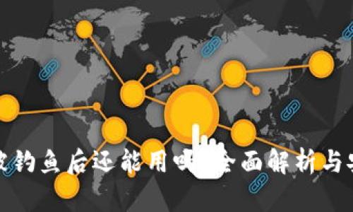 TP钱包被钓鱼后还能用吗？全面解析与安全建议