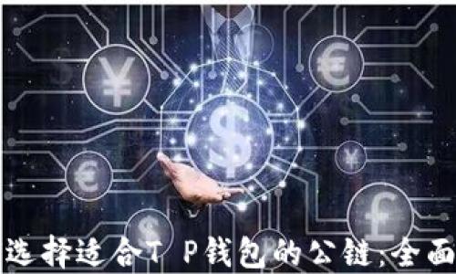 
如何选择适合T P钱包的公链：全面指南