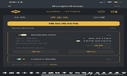 中国首个量子区块链平台的崛起与未来展望