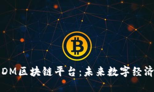 深入探索DM区块链平台：未来数字经济的新引擎