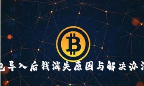 TP钱包导入后钱消失原因与解决办法详解