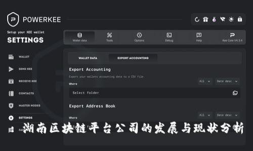 : 湖南区块链平台公司的发展与现状分析