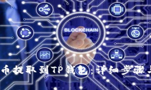 如何将Pig币提取到TP钱包：详细步骤与注意事项