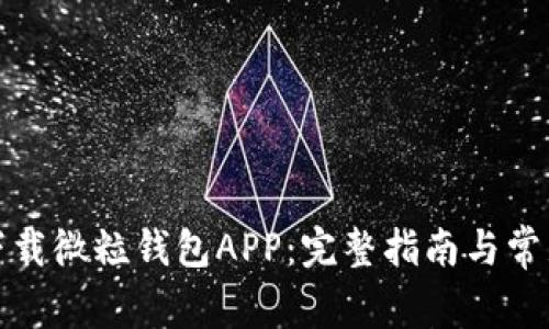 如何高效下载微粒钱包APP：完整指南与常见问题解答