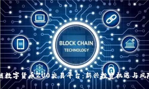 区块链数字货币ZU0交易平台：新兴投资机遇与风险分析