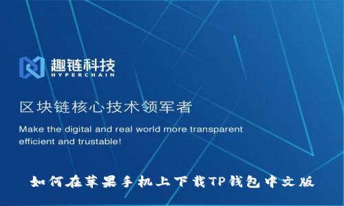 如何在苹果手机上下载TP钱包中文版