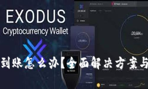 TP钱包的币没到账怎么办？全面解决方案与常见问题解析