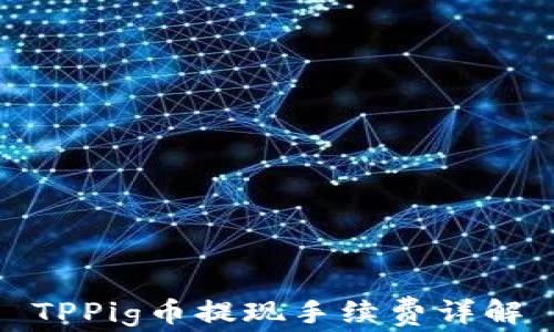 
TPPig币提现手续费详解