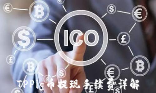 
TPPig币提现手续费详解